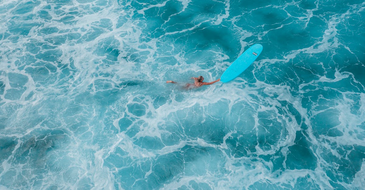 découvrez le bodyboarding, un sport de glisse passionnant qui vous permet de profiter des vagues tout en évoluant sur une planche courte. apprenez les techniques essentielles, les meilleures destinations et les équipements recommandés pour vivre des sensations fortes sur la mer.