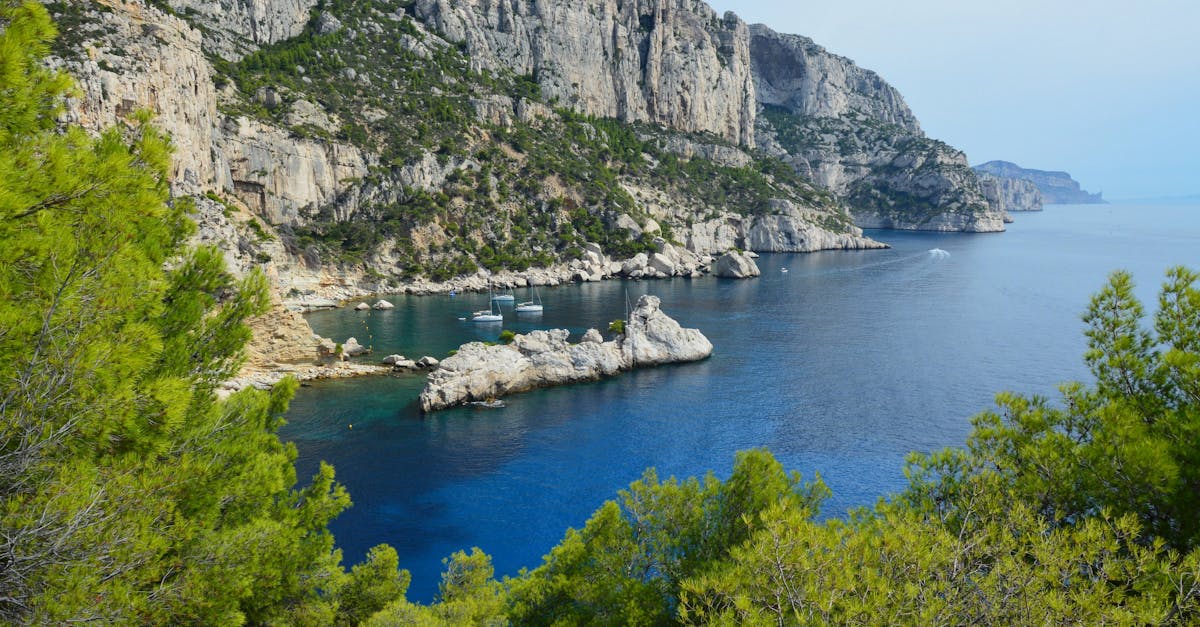 découvrez les calanques, magnifique parc national de la côte d'azur, où des paysages époustouflants de falaises, de criques turquoise et de nature préservée vous attendent pour des randonnées inoubliables et des moments de détente au bord de la mer.