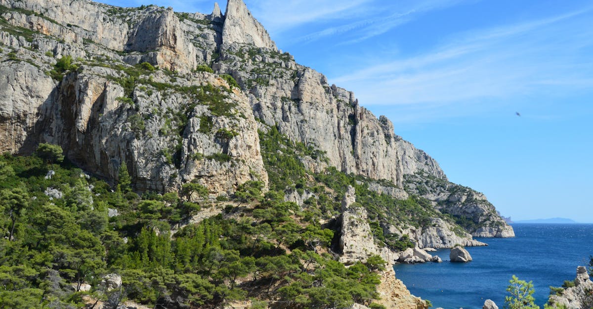 découvrez les magnifiques calanques, ces criques pittoresques bordées de falaises blanches et plongées dans des eaux turquoise, idéales pour la baignade, la randonnée et l'exploration. partez à l'aventure au cœur de la nature et admirez des paysages à couper le souffle.