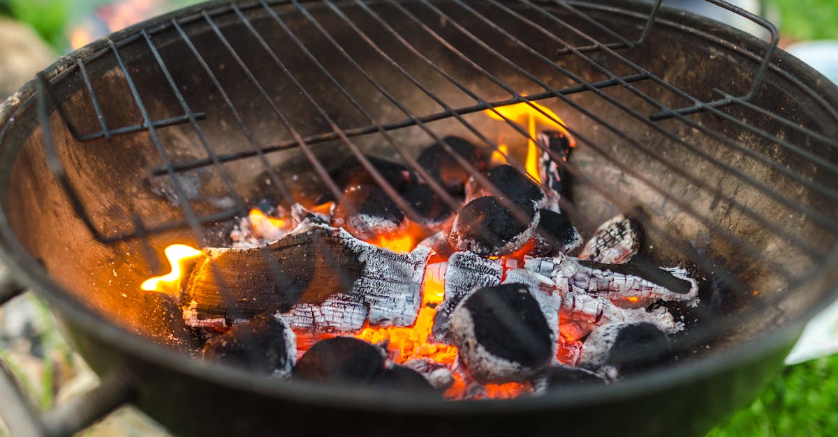 découvrez tout sur le charbon : ses utilisations variées, ses bienfaits écologiques et son rôle dans la cuisine et le bien-être. apprenez à intégrer le charbon dans votre quotidien.