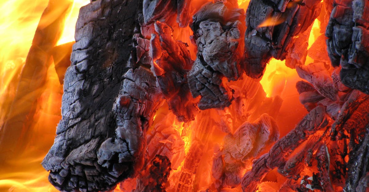 découvrez les bienfaits du charbon : un élément naturel aux multiples usages, allant de l'artisanat à la santé en passant par l'environnement. apprenez comment le charbon peut purifier, filtrer et améliorer votre quotidien.