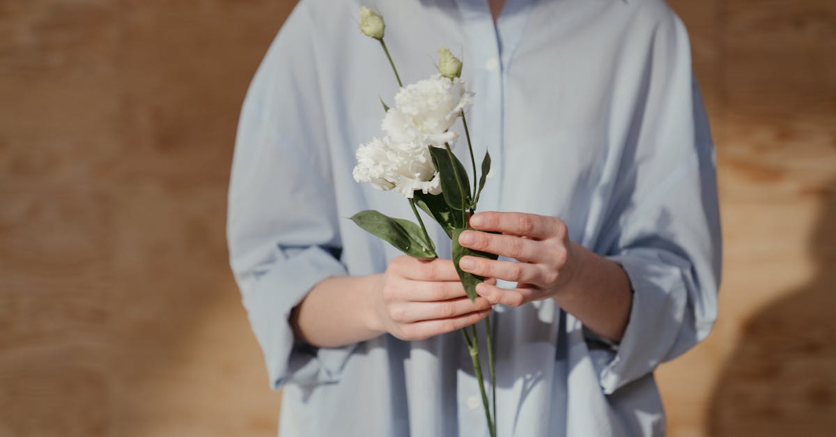 découvrez notre élégante chemise bleu clair, parfaite pour toutes les occasions. fabriquée avec des matériaux de qualité, elle allie confort et style. idéale pour un look décontracté ou habillé, cette chemise est un incontournable de votre garde-robe.