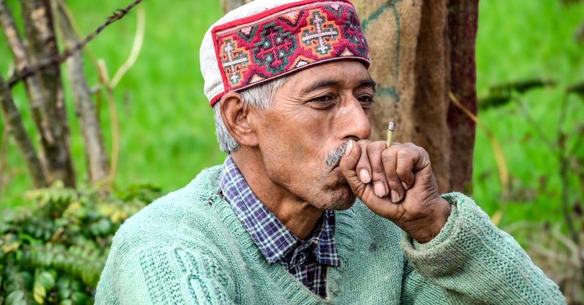 découvrez l'univers fascinant des moustaches : styles variés, soins essentiels et astuces pour bien les entretenir. que vous soyez passionné ou novice, retrouvez des conseils pour arborer fièrement votre moustache et faire tourner les têtes !