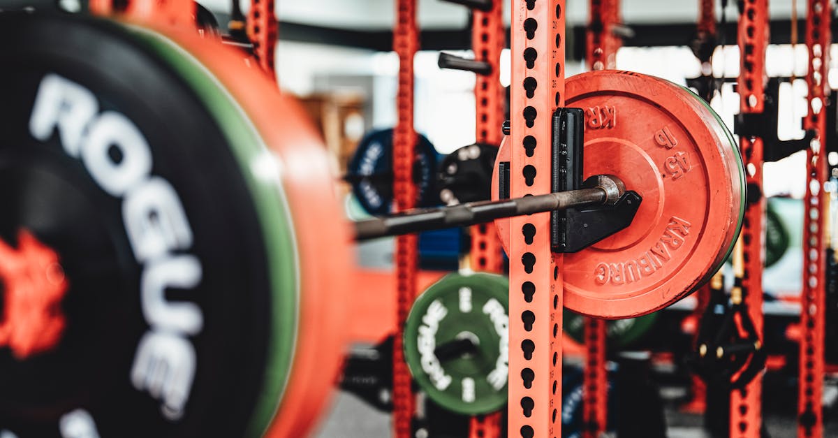 découvrez notre large sélection de bancs de musculation pour un entraînement efficace à domicile. parfaits pour développer vos muscles et améliorer votre force, ces bancs s'adaptent à tous vos besoins sportifs.