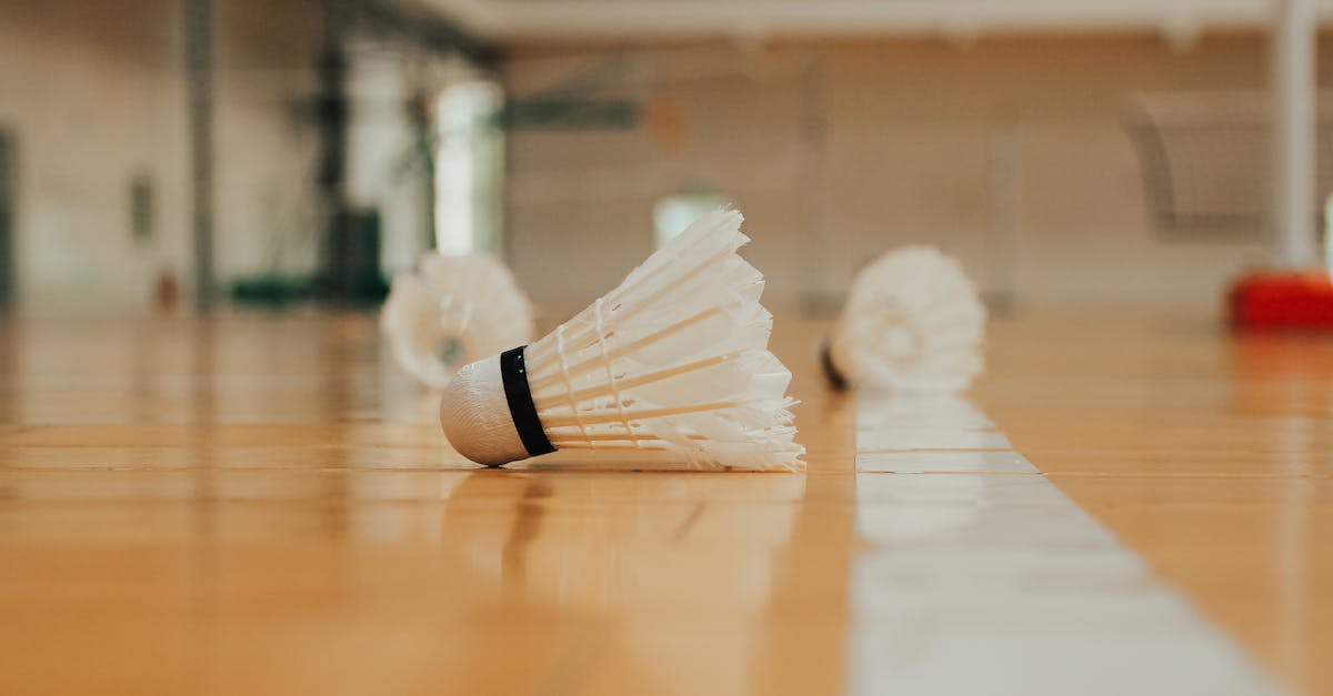 découvrez le monde fascinant du badminton ! parfait pour tous les niveaux, ce sport dynamique allie technique, rapidité et stratégie. apprenez les règles, les techniques et trouvez des conseils pour améliorer votre jeu tout en vous amusant. rejoignez-nous pour explorer l'univers du badminton.