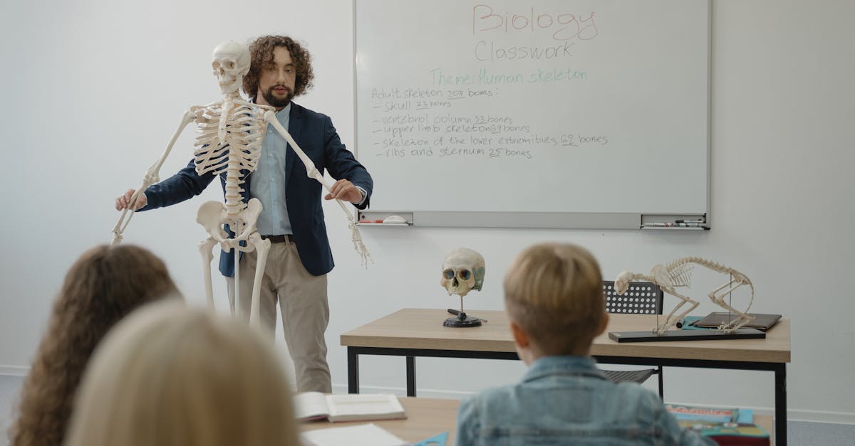 découvrez notre classe dynamique et interactive, où chaque élève peut développer ses compétences, échanger des idées et s'épanouir dans un environnement stimulant. rejoignez-nous pour vivre une expérience d'apprentissage unique !