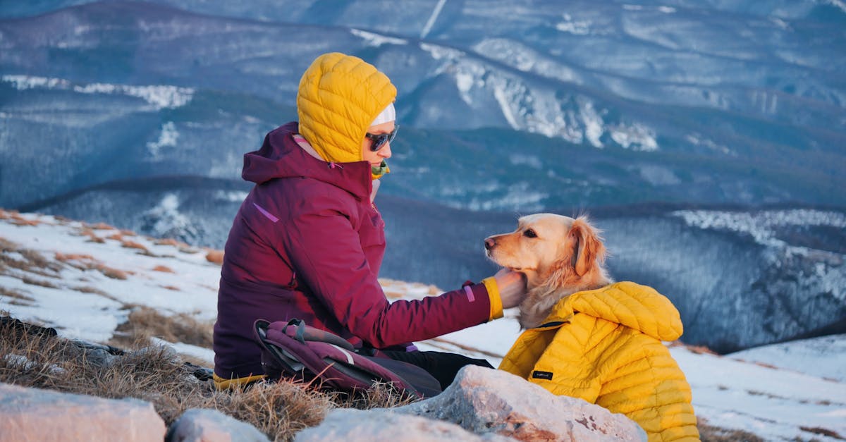 découvrez notre collection de vestes en duvet, alliant confort, chaleur et style. parfaites pour affronter les températures froides sans compromis sur l'élégance. idéales pour les activités en plein air ou les tendances urbaines.