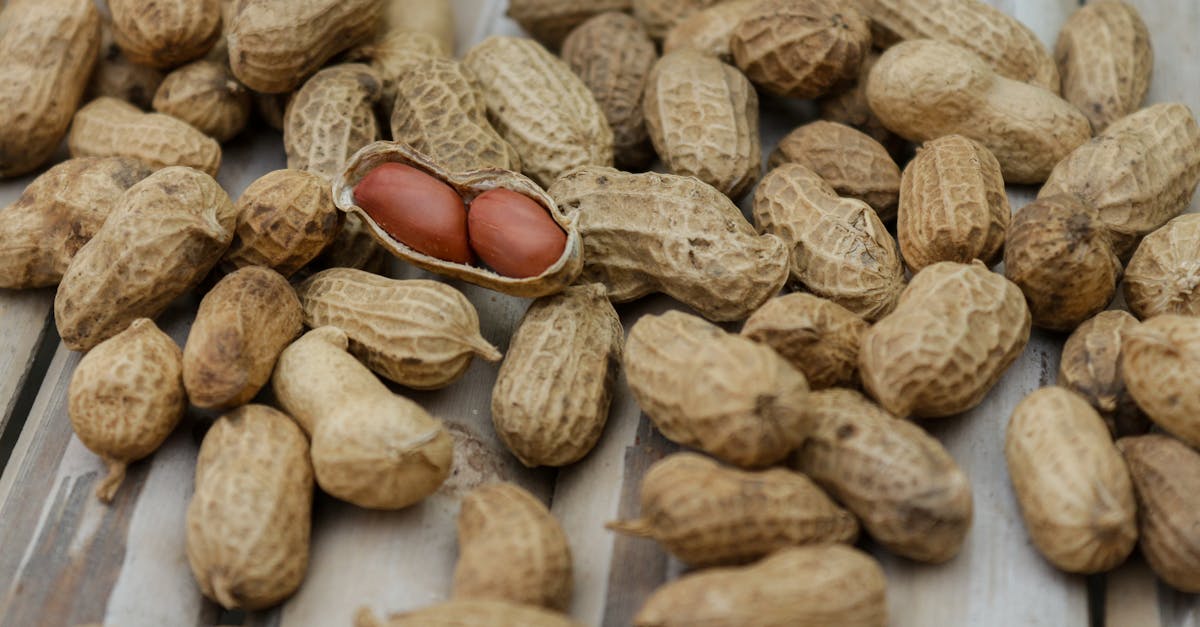 découvrez le monde fascinant des noix : leurs bienfaits nutritionnels, leurs variétés et comment les intégrer facilement dans votre alimentation quotidienne. santé et gourmandise se rencontrent avec les noix !