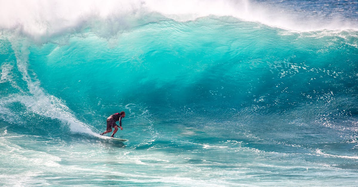 découvrez notre sélection de planches de surf, adaptées à tous les niveaux et styles. que vous soyez débutant ou expert, trouvez la planche idéale pour glisser sur les vagues avec style et performance.