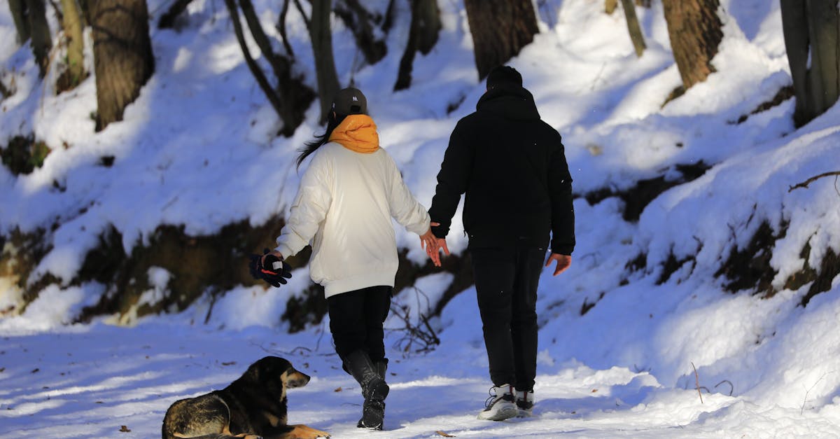 découvrez notre sélection de manteaux d'hiver, alliant style et chaleur. protégez-vous du froid avec des modèles tendances et confortables, parfaits pour affronter la saison hivernale tout en restant élégant.