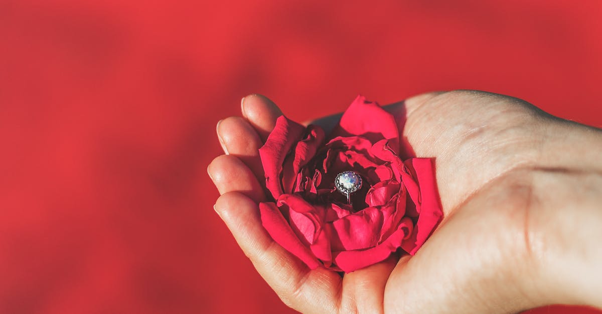 découvrez notre magnifique bague rose, alliant élégance et modernité. parfaite pour toutes les occasions, elle apportera une touche de couleur et de charme à votre tenue. idéale en cadeau ou pour se faire plaisir.