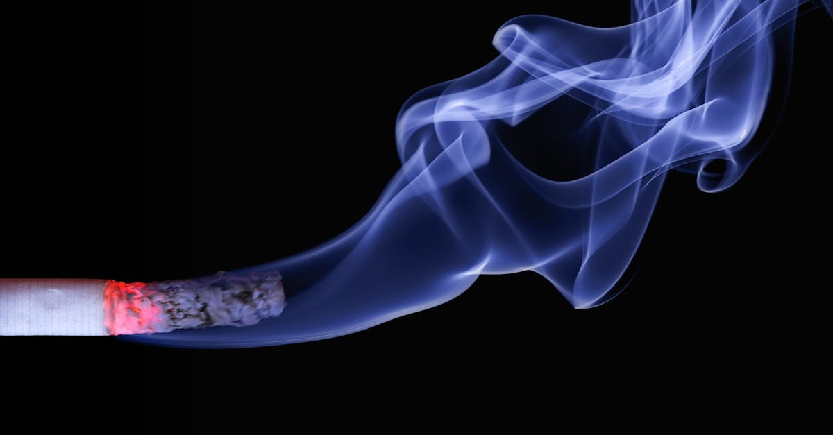 découvrez l'art du smoking : un incontournable de la mode masculine, alliant élégance et sophistication pour toutes vos occasions spéciales. explorez les tendances, les styles et les conseils pour choisir le smoking parfait.