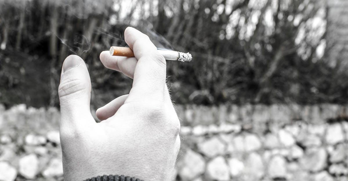 découvrez l'univers du smoking, un vêtement d'élégance par excellence pour les occasions formelles. explorez nos conseils de style, les dernières tendances et les astuces pour choisir le smoking parfait qui sublimera votre silhouette.