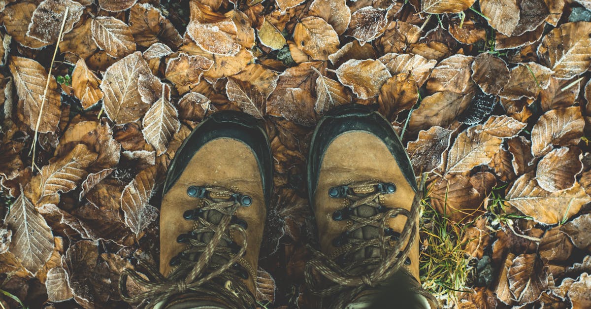 découvrez notre sélection de lacets de chaussures résistants, stylés et adaptés à tous types de chaussures. trouvez le modèle parfait pour apporter une touche unique à votre look.