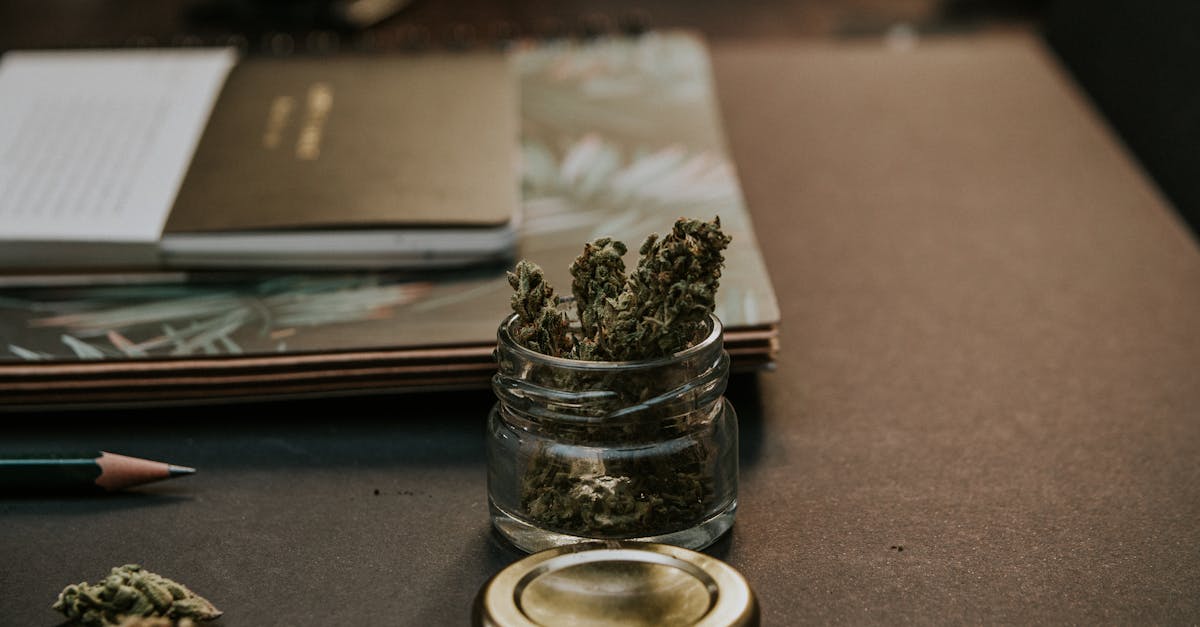 découvrez tout sur le smoking : histoire, styles, conseils pour bien porter ce costume élégant lors de vos événements formels. guide complet et astuces pour choisir le smoking parfait selon votre morphologie et votre personnalité.