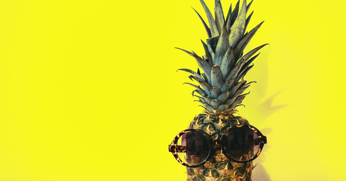 découvrez notre collection tendance de lunettes de soleil : styles modernes, protection uv optimale et modèles pour hommes et femmes. trouvez la paire parfaite pour sublimer vos looks toute l'année !