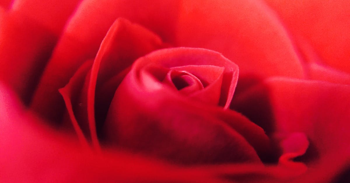 découvrez notre sélection de fragrances uniques pour sublimer votre personnalité. parfums raffinés, notes envoûtantes et créations originales pour tous les goûts.