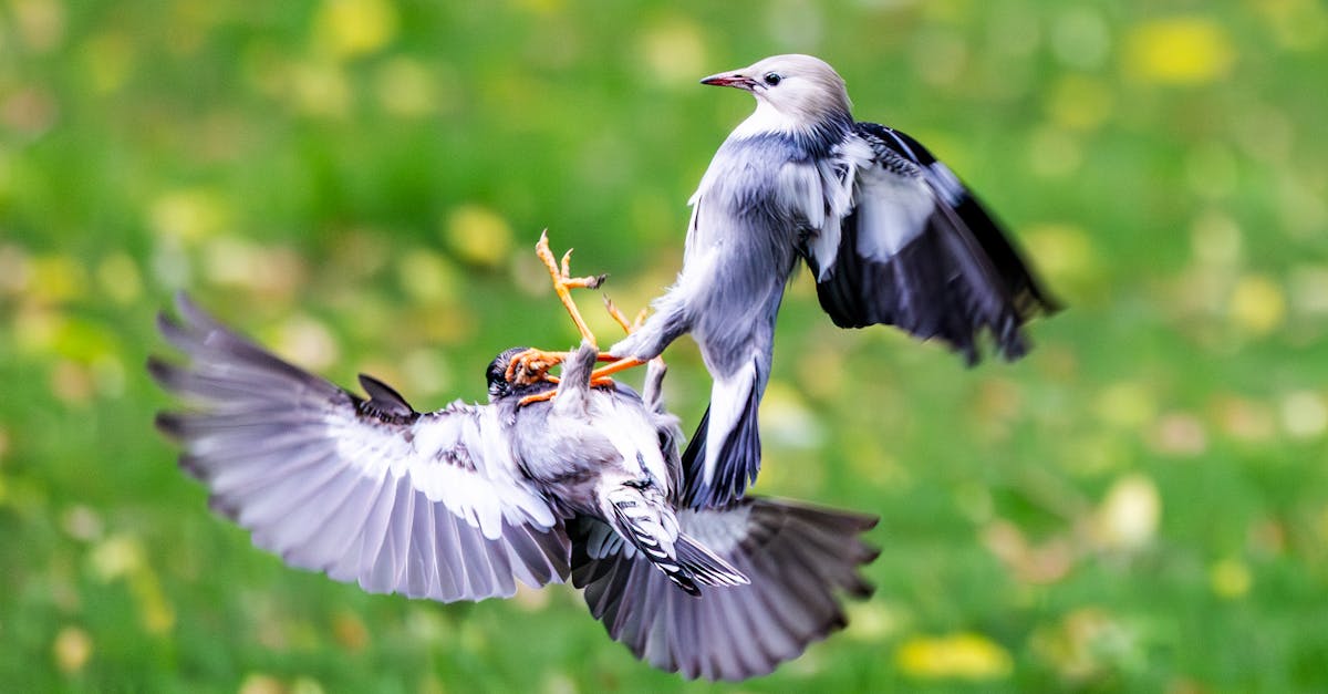 découvrez notre sélection incontournable des meilleures comédies à voir absolument pour passer un moment de détente et de rire garanti !