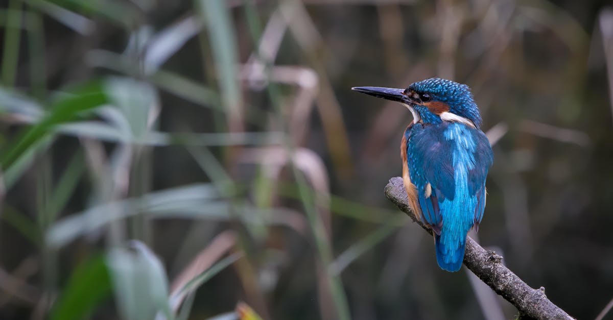 découvrez notre sélection des meilleures comédies incontournables à regarder absolument pour passer un moment de rire et de détente garanti !