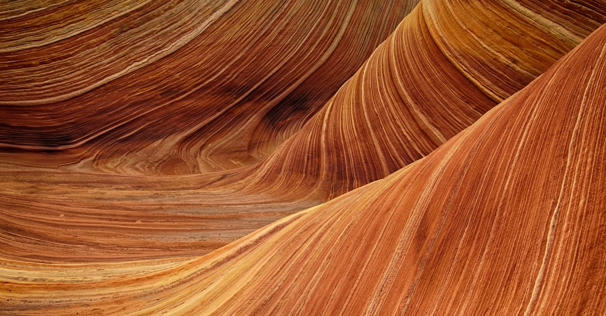 découvrez tout sur l’orange : ses bienfaits pour la santé, ses origines, ses variétés et des idées pour la consommer au quotidien.