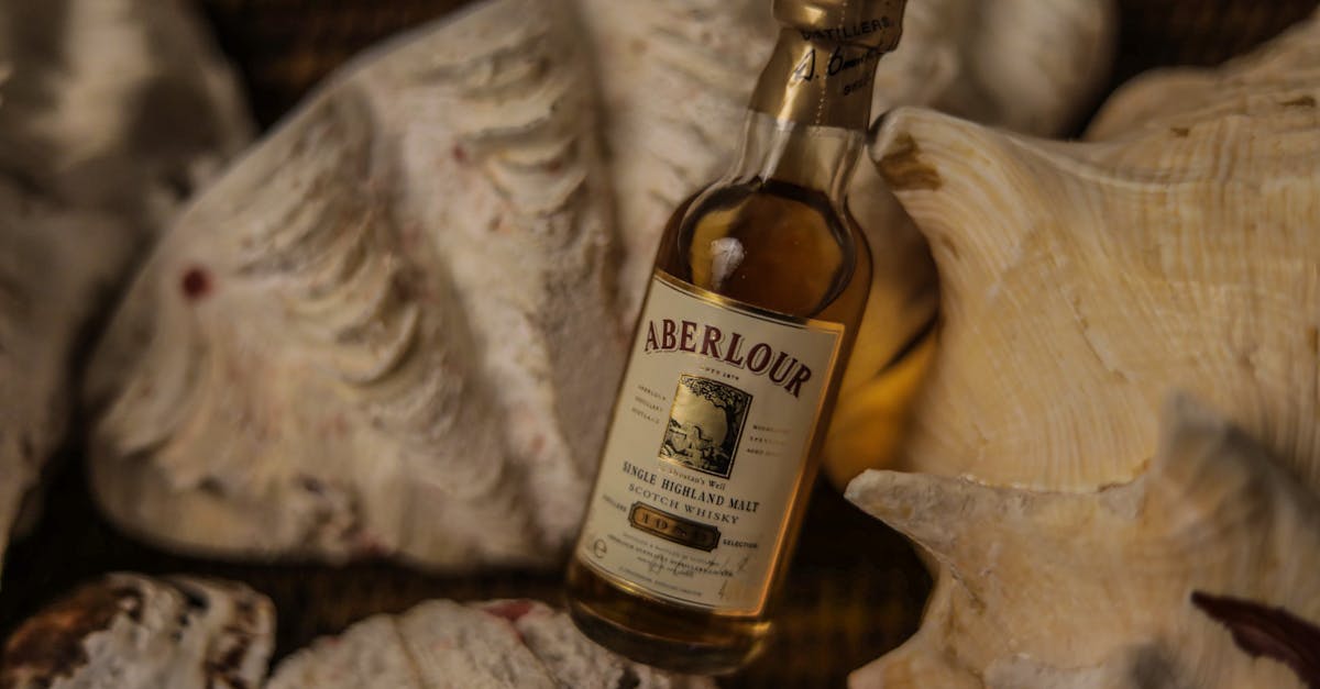 découvrez l'univers du scotch whisky : histoire, fabrication, saveurs uniques et conseils pour bien choisir et déguster ce spiritueux écossais d'exception.