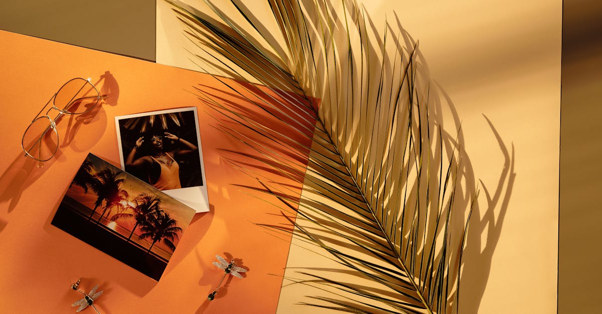 découvrez notre collection de lunettes de soleil aviateur pour un style intemporel et une protection optimale contre les uv. parfaites pour toutes les saisons et tous les looks.