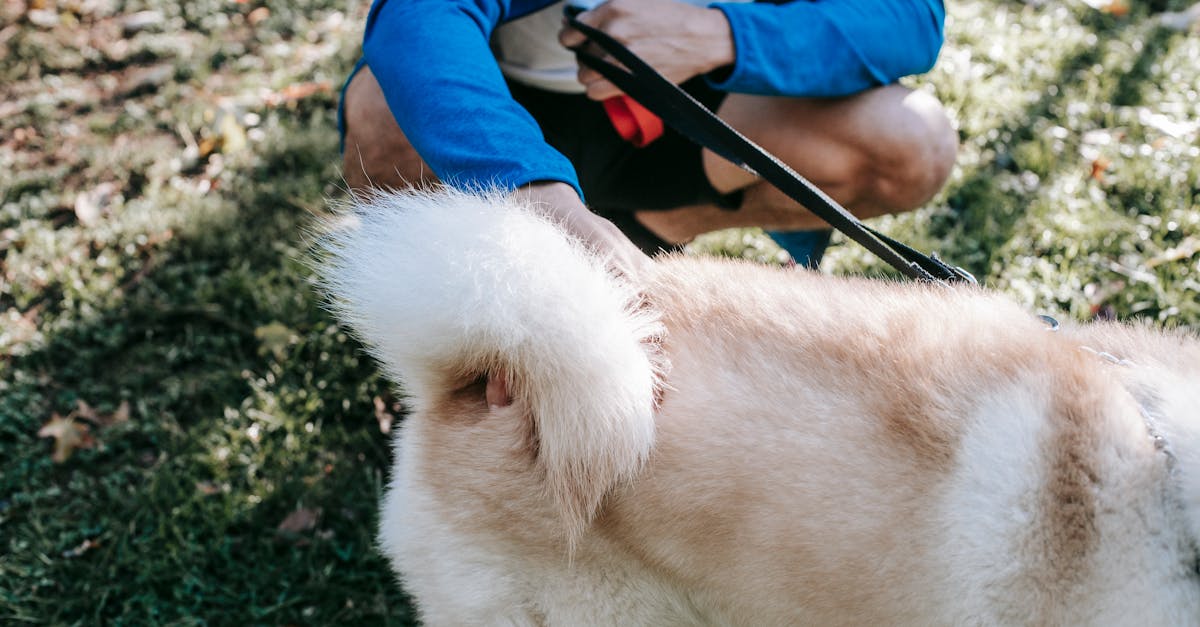 découvrez notre collection de manteaux en fourrure pour hommes alliant élégance et chaleur. trouvez le modèle parfait pour affronter l'hiver avec style.