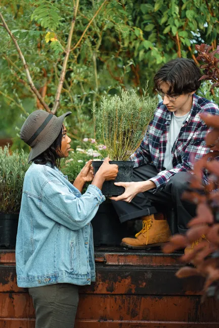 Two adults working together in a garden, exchanging a potted plant.